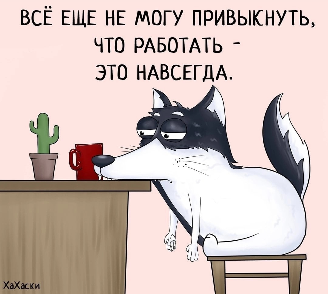 Участник MRWOOO ,мужчина   | НашЧат.РФ