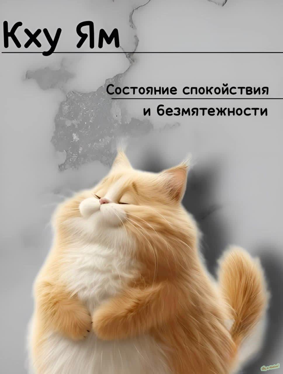 Участник NEMO_65 ,мужчина  Ufa | НашЧат.РФ