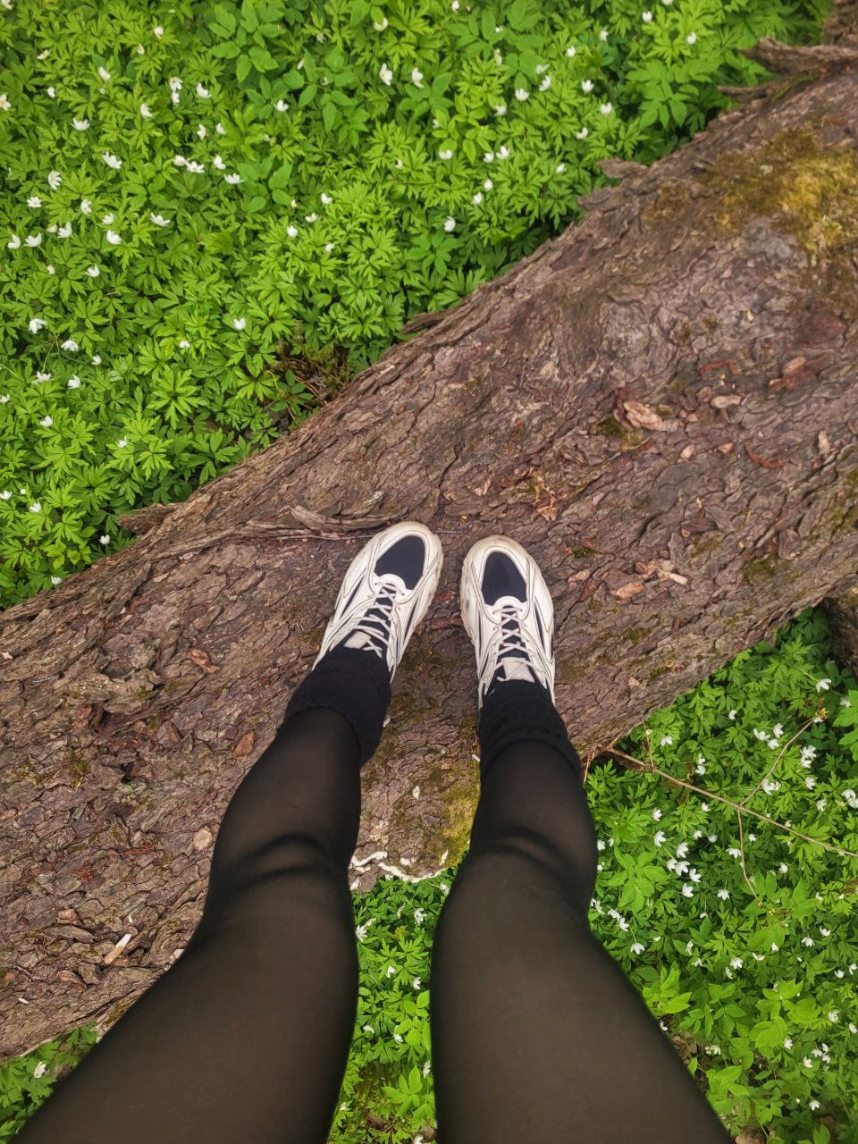 Участник ALINAMOUSE ,женщина ,24, Novosibirsk | НашЧат.РФ