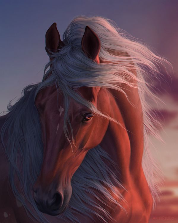 Участник STASHORSE ,мужчина ,23, StLouis | НашЧат.РФ