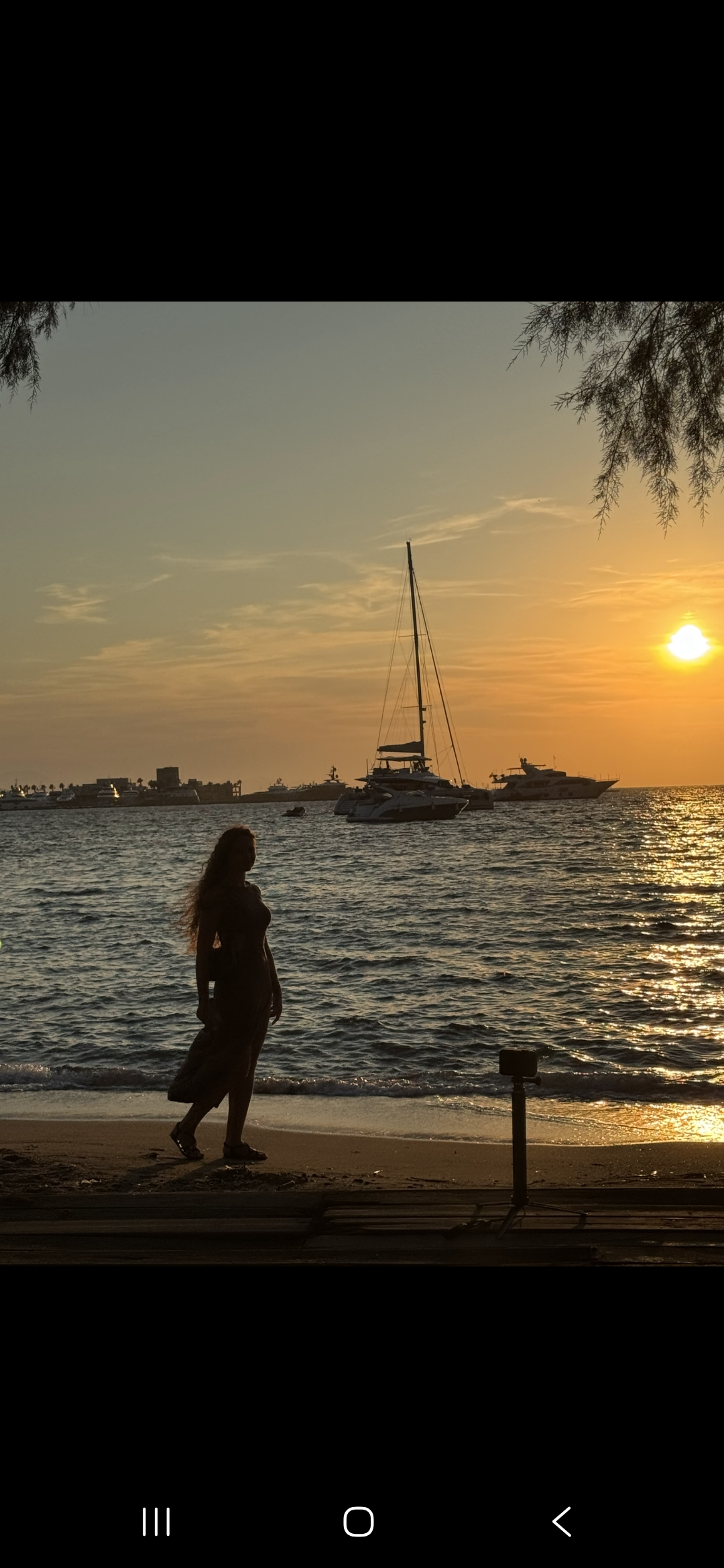 Участник ALINA(1293)    | НашЧат.РФ