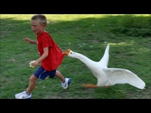 Участник ELISSAR  ,54, Rostov-on-Don | НашЧат.РФ