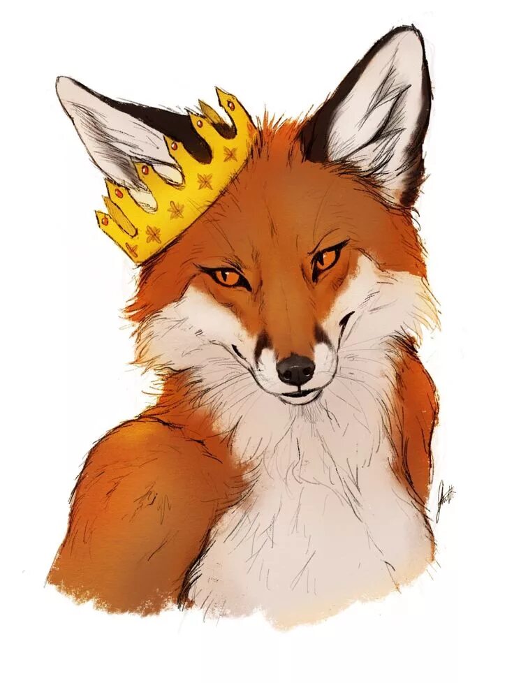Участник MISTER_FOX ,мужчина ,45,  | НашЧат.РФ