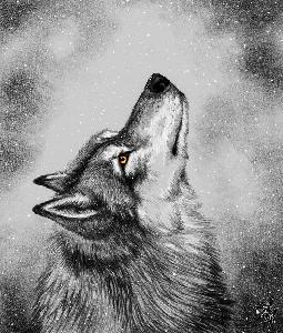 Участник GREYWOLF(2) ,мужчина  Moscow | НашЧат.РФ