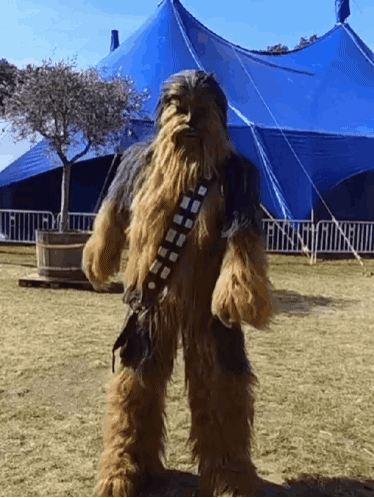 Участник CHEWBACCA ,мужчина  hidden | НашЧат.РФ