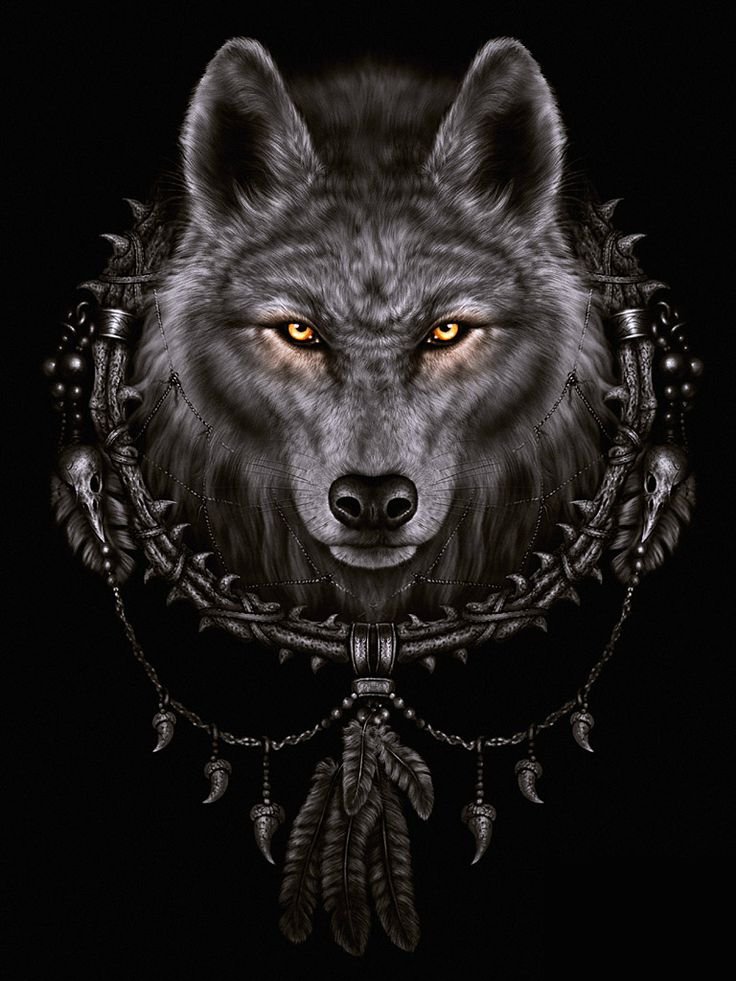 Участник EVILWOLF    | НашЧат.РФ