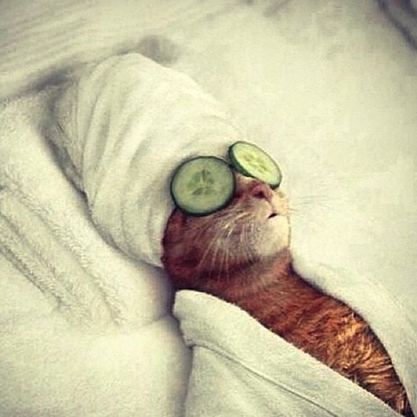 Участник MAGNIT ,мужчина  Dubai | НашЧат.РФ