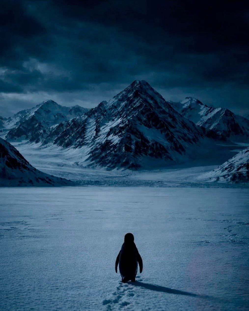 Участник MAGNIT ,мужчина  Dubai | НашЧат.РФ