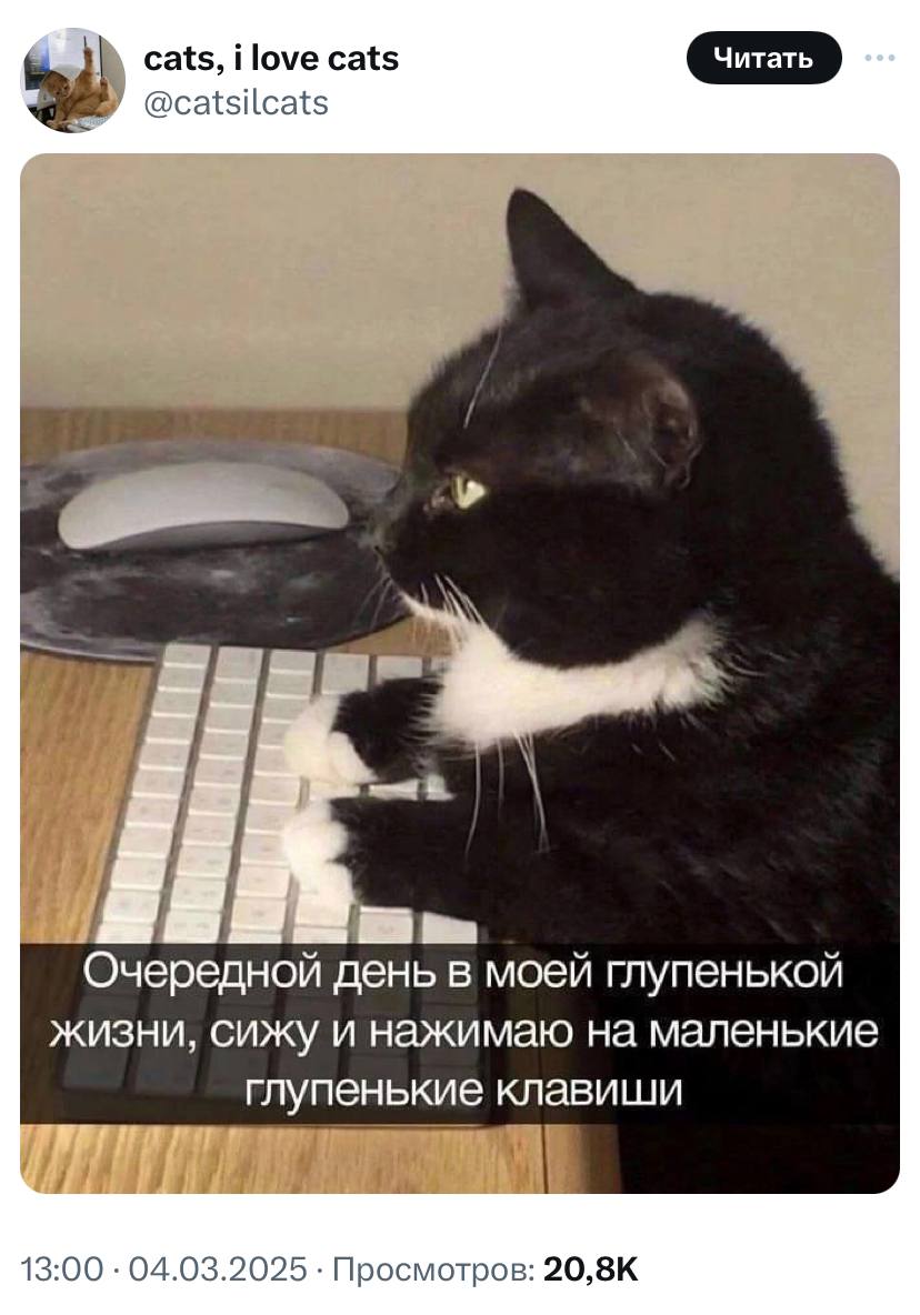 Участник TANUKI_SAN ,женщина  Novokuznetsk | НашЧат.РФ
