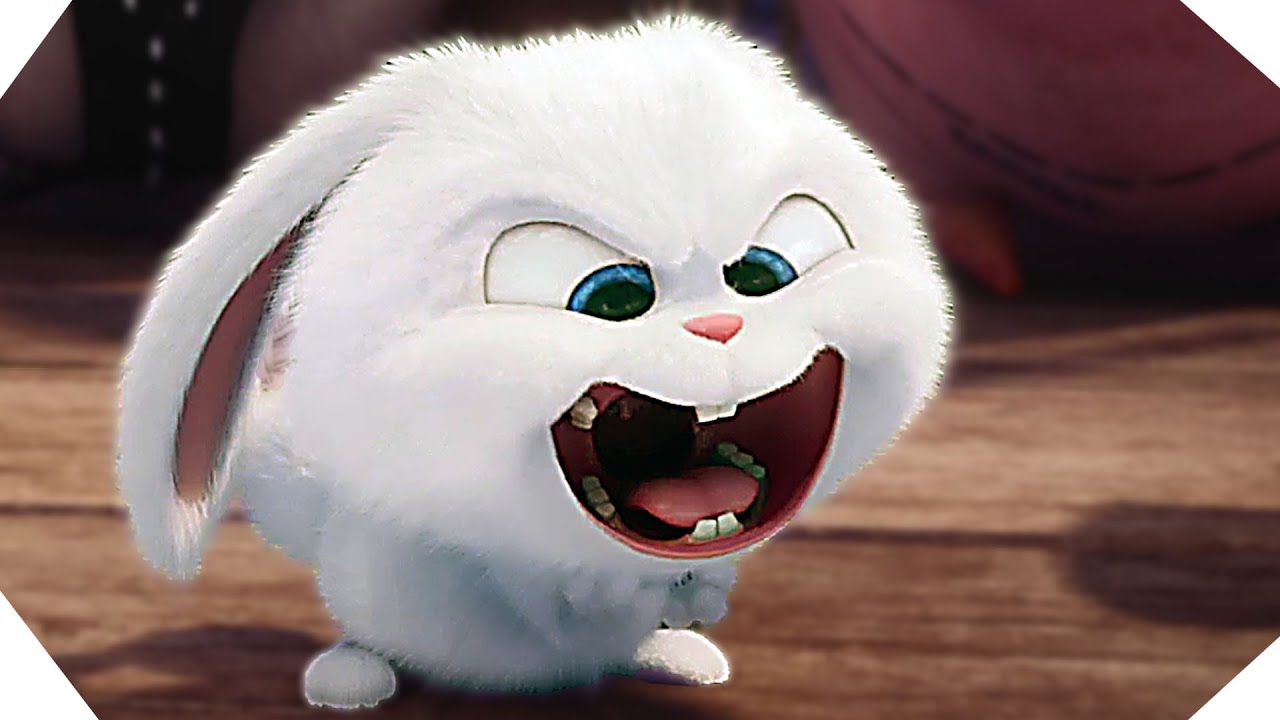 Участник CHEKKYRABBIT ,мужчина  Moscow | НашЧат.РФ