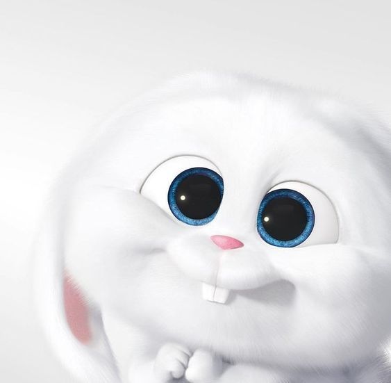 Участник CHEKKYRABBIT ,мужчина  Moscow | НашЧат.РФ