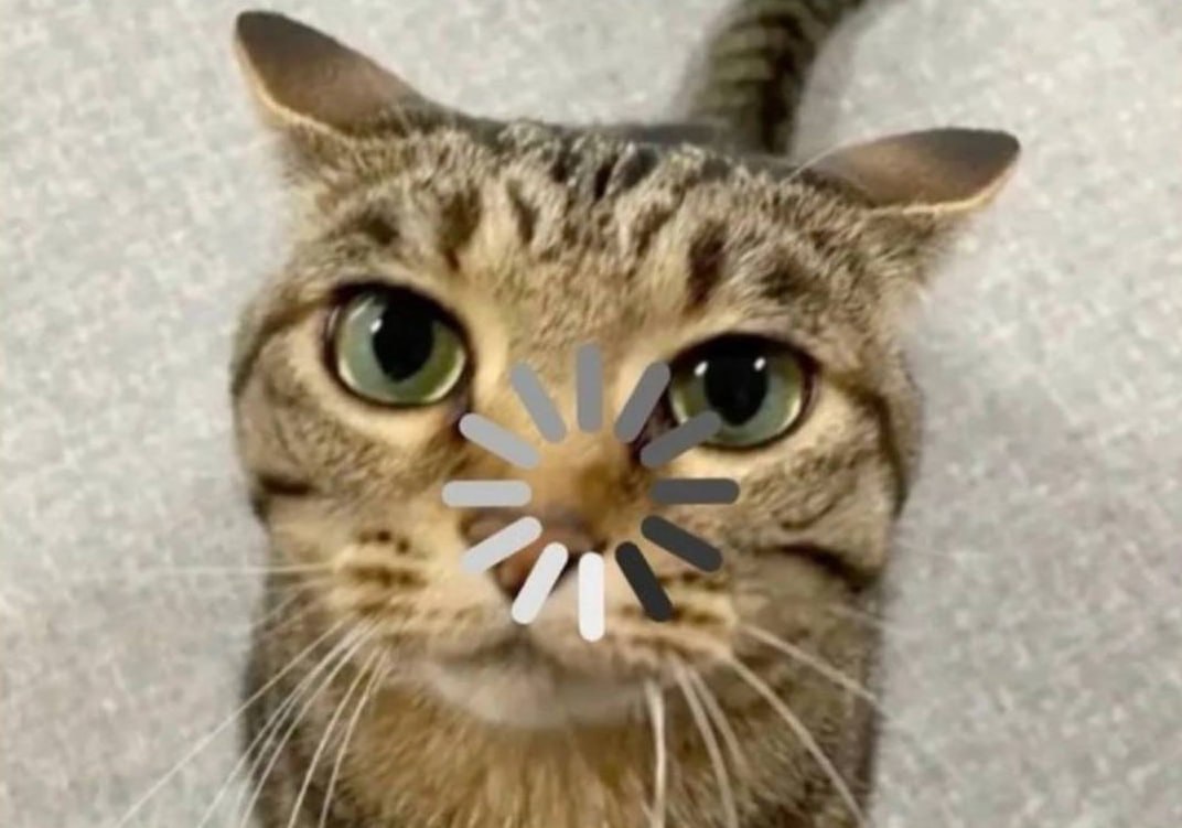 Участник SLAPY ,мужчина ,30,  | НашЧат.РФ