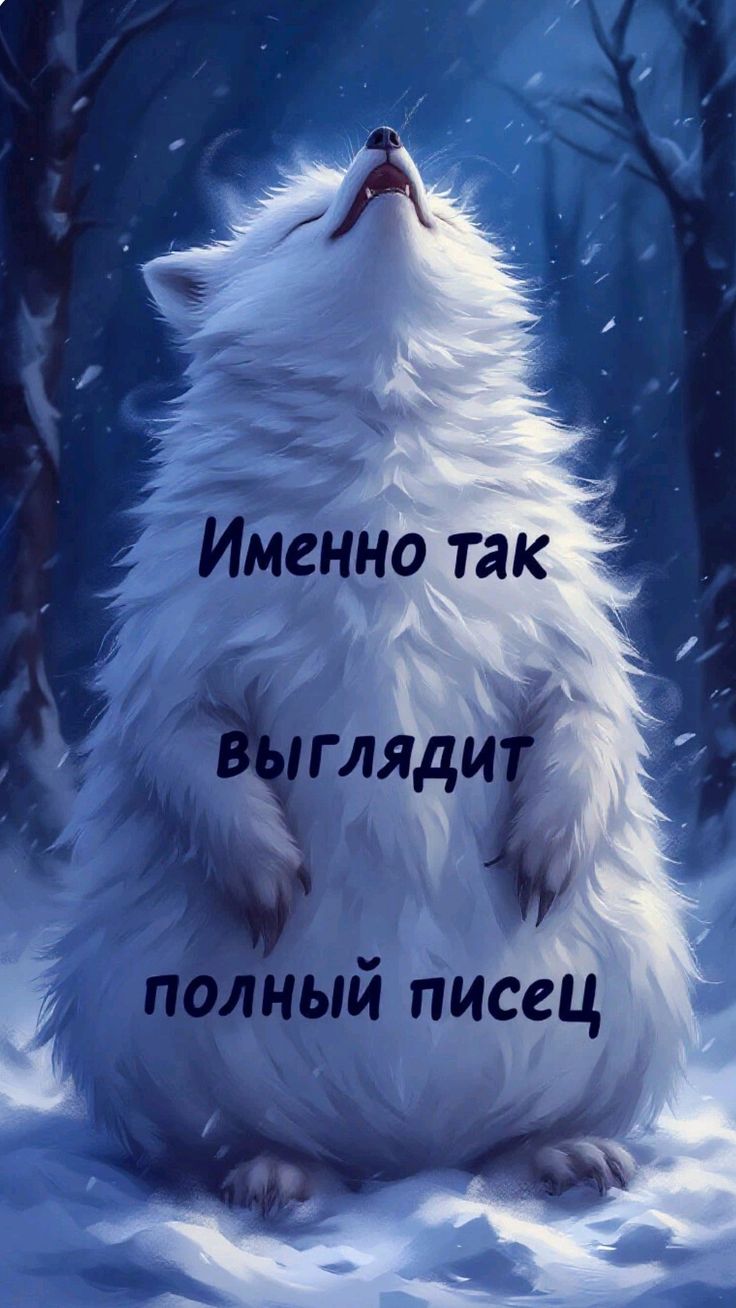 Участник POLNY_PESEC ,мужчина ,38, StPetersburg | НашЧат.РФ