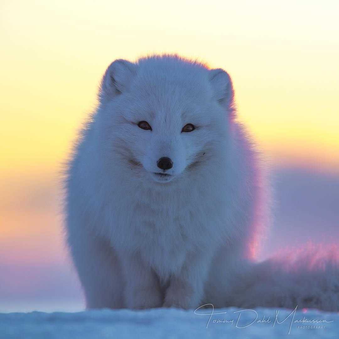 Участник POLNY_PESEC ,мужчина ,39, StPetersburg | НашЧат.РФ
