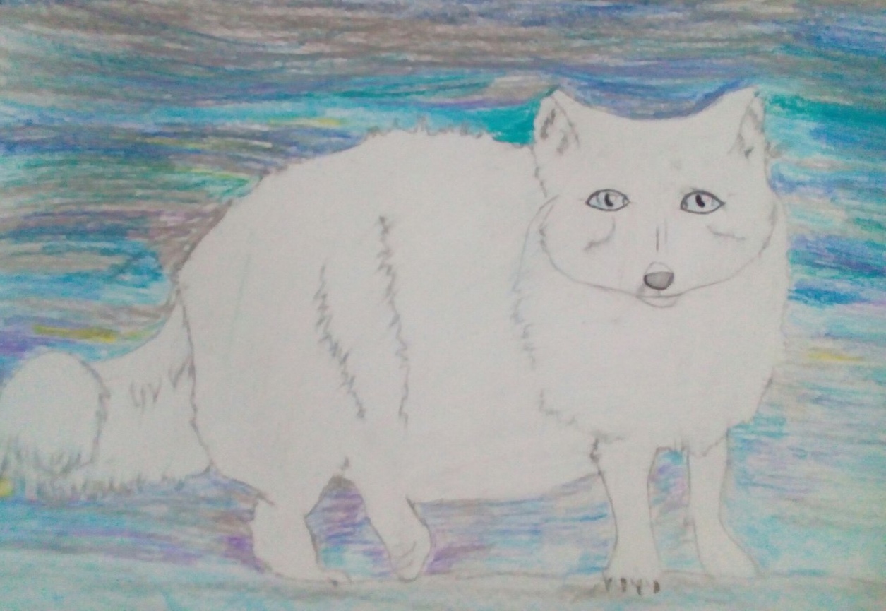 Участник POLNY_PESEC ,мужчина ,38, StPetersburg | НашЧат.РФ