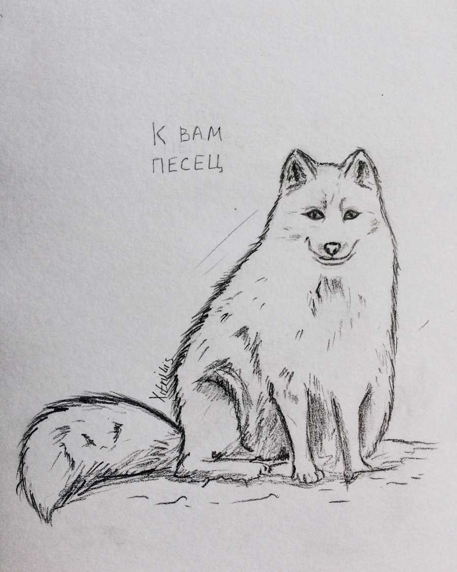 Участник POLNY_PESEC ,мужчина ,38,  | НашЧат.РФ