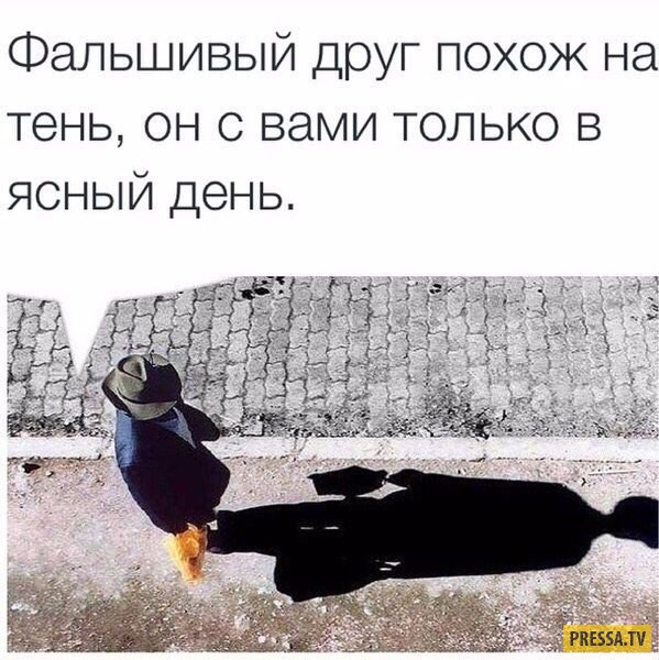 Участник FORS ,мужчина  StrugiKrasnye | НашЧат.РФ