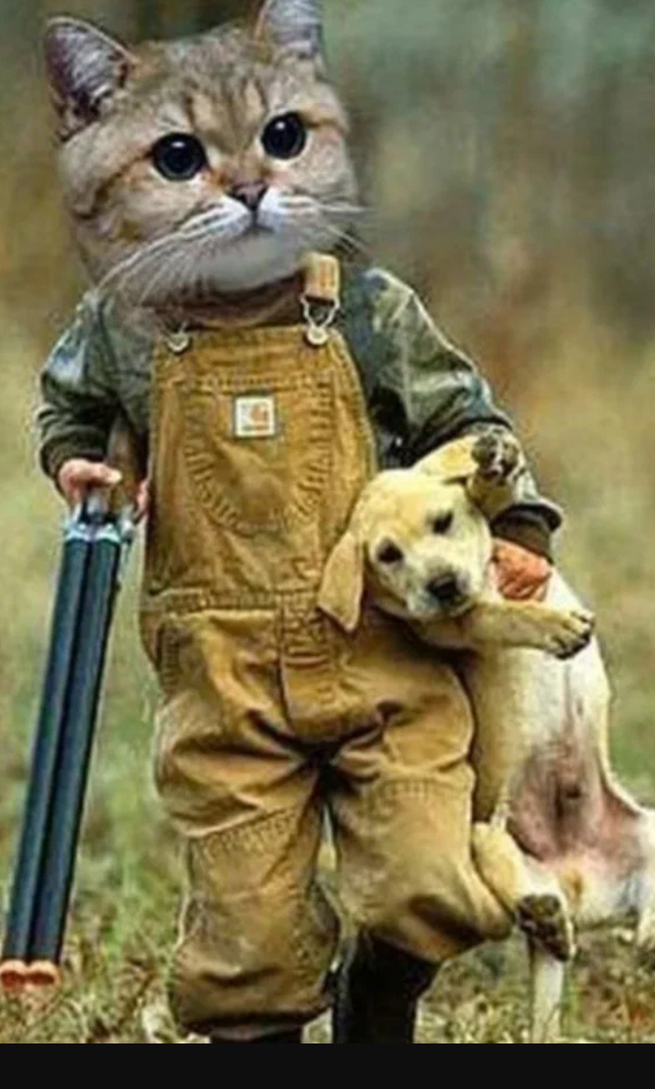 Участник ALEKS123   Bryansk | НашЧат.РФ