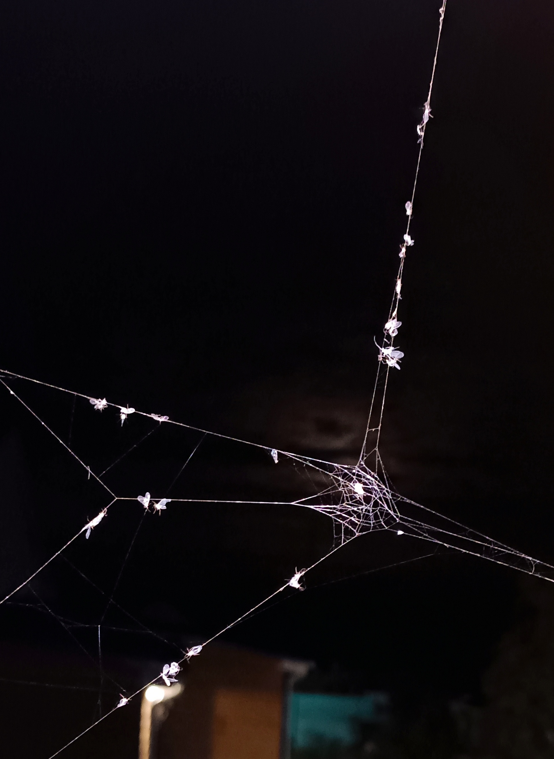 Участник YOROOL_GUI   Kazan’ | НашЧат.РФ