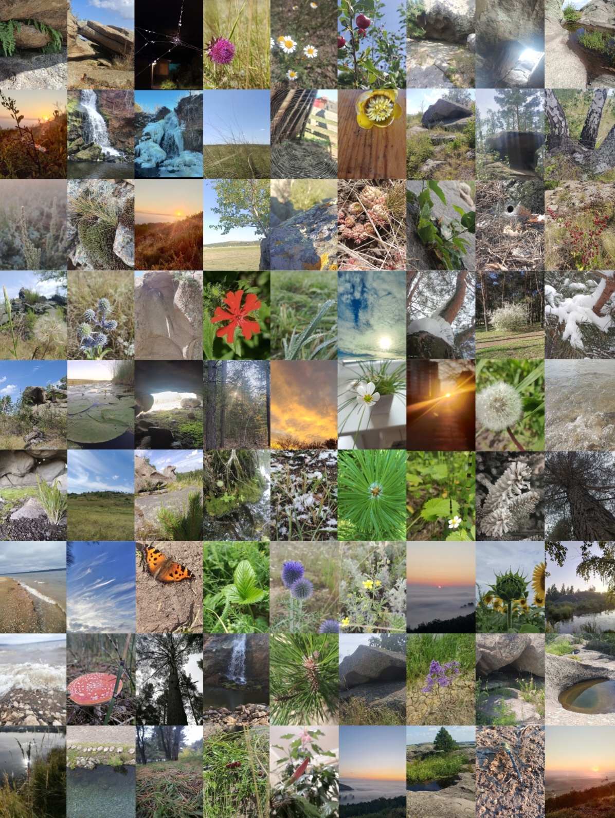 Участник PRYAMIKOM   hidden | НашЧат.РФ