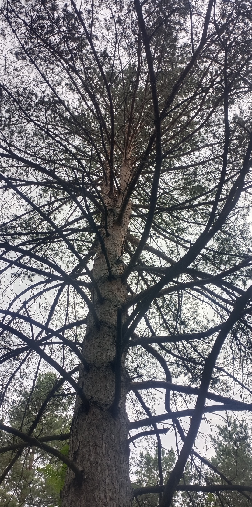 Участник POPEREMENNO   hidden | НашЧат.РФ