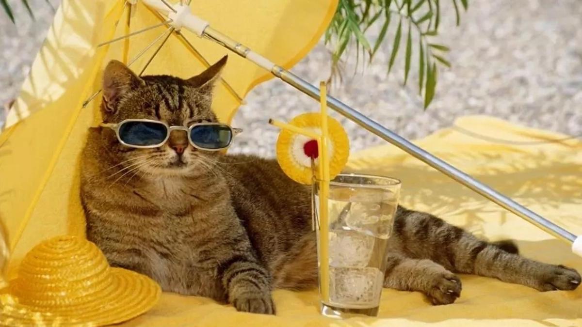 Участник ZERO777(2) ,мужчина ,23, Ufa | НашЧат.РФ