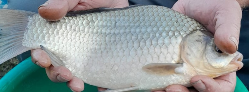 Участник VORTEX(3) ,мужчина ,45,  | НашЧат.РФ