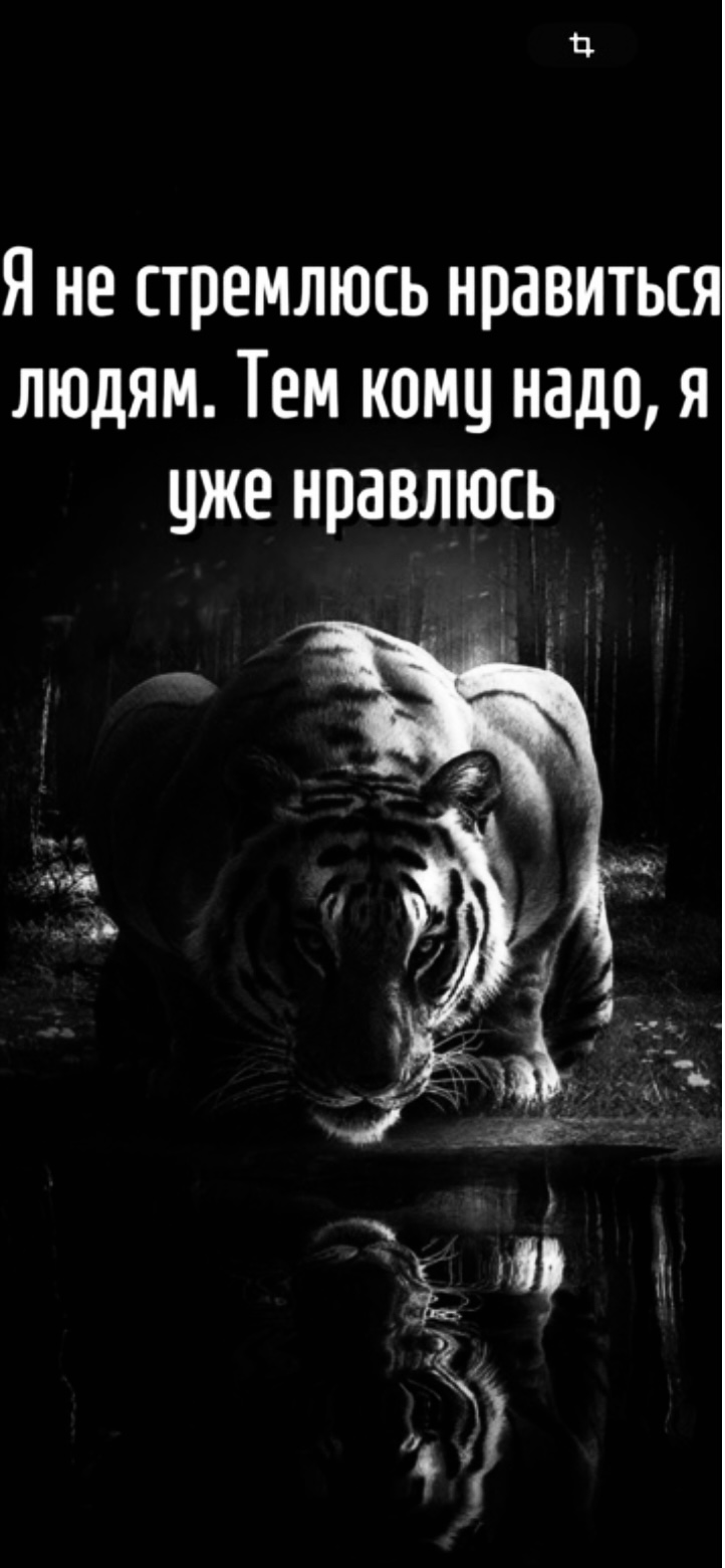 Участник VASYA4144(2) ,мужчина   | НашЧат.РФ