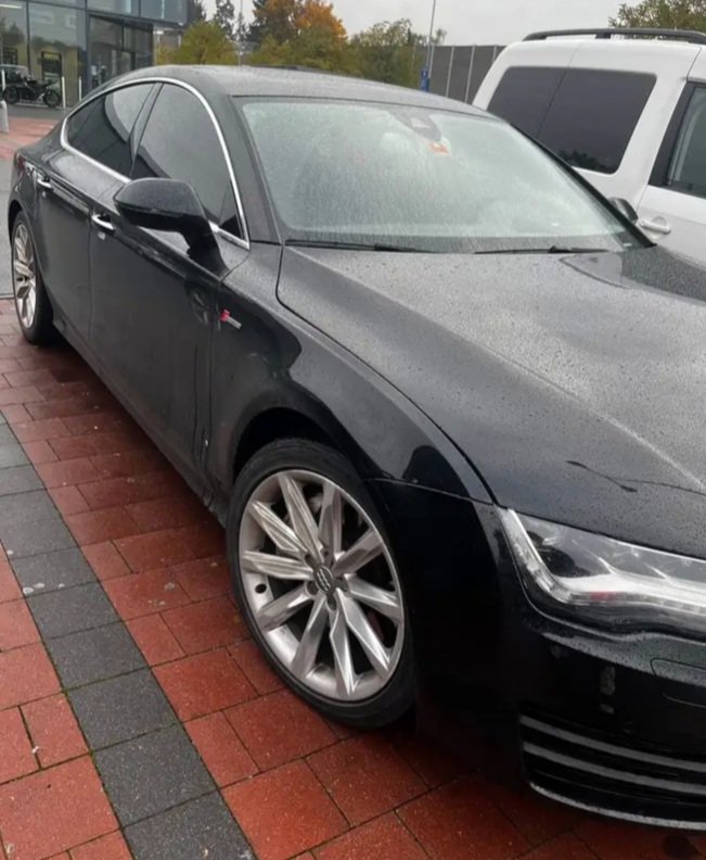 Участник EARNEST ,мужчина  ÚstínadLabem | НашЧат.РФ