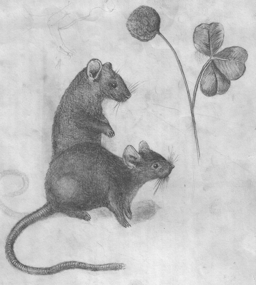 Участник IXAPEK ,мужчина ,42,  | НашЧат.РФ