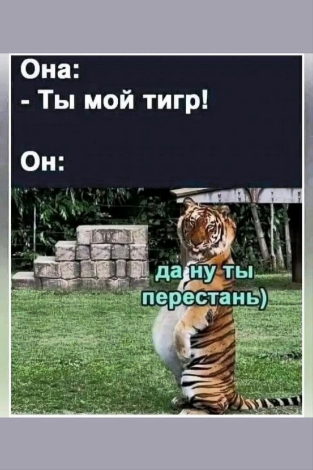 Участник WOLK15 ,мужчина ,46, Ekaterinburg | НашЧат.РФ