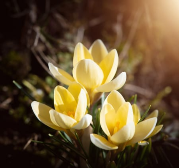 Участник ULLIA(2) ,женщина  Moscow | НашЧат.РФ