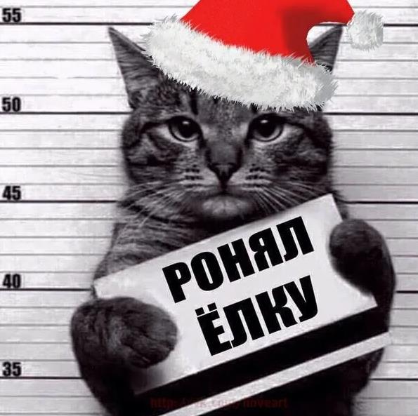 Участник ANDREAS(7) ,мужчина ,37, Astrakhan | НашЧат.РФ