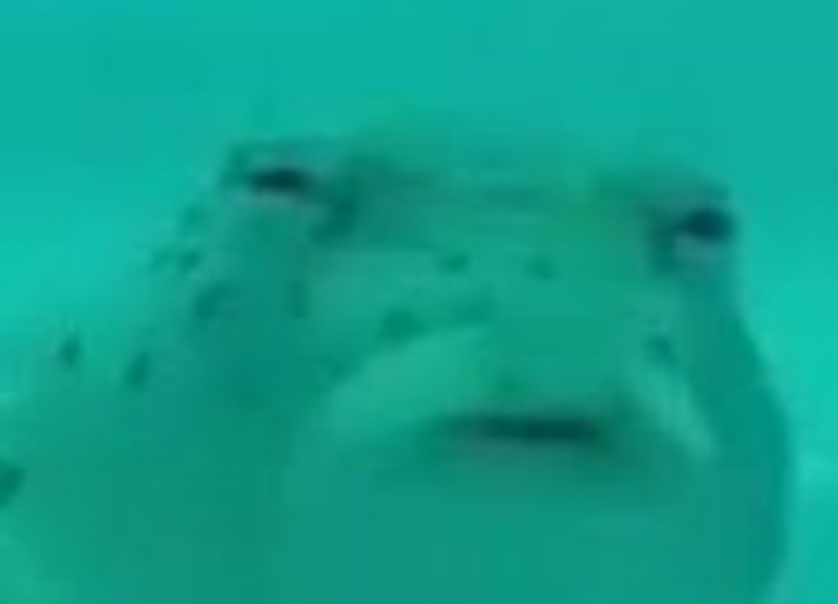 Участник ANTONBULONI ,мужчина ,32, Yuzhno-Sakhalinsk | НашЧат.РФ