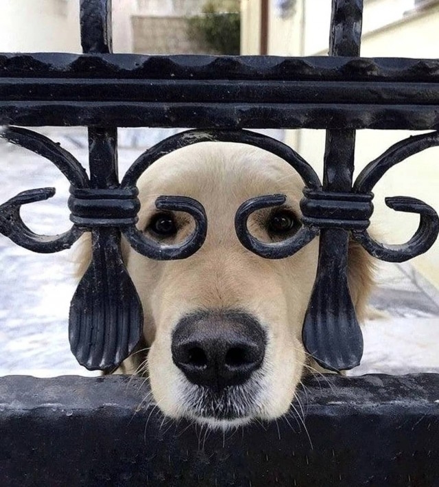 Участник EZHEN ,мужчина  hidden | НашЧат.РФ