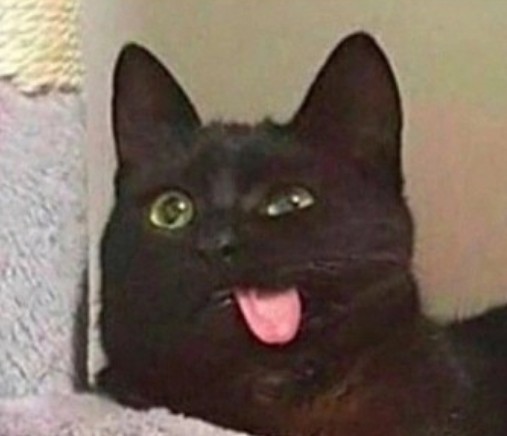 Участник DERKATER    | НашЧат.РФ