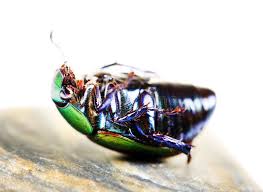 Участник INJECT0R ,мужчина  hidden | НашЧат.РФ