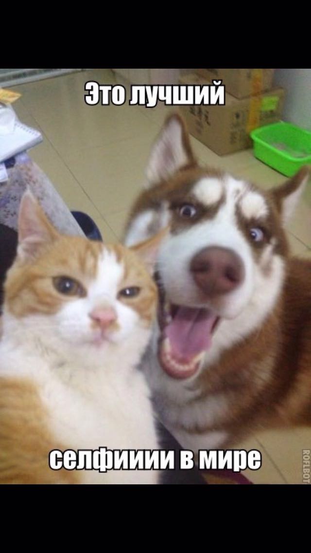 Участник INTRO(4) ,мужчина   | НашЧат.РФ