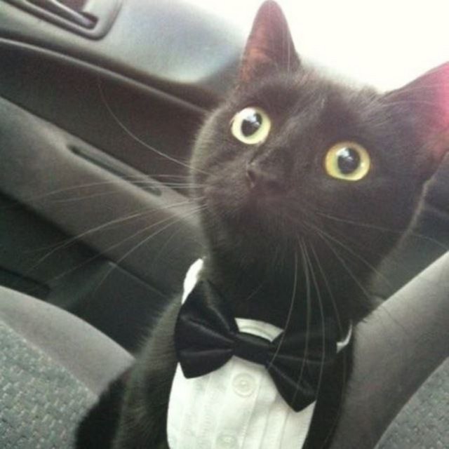 Участник DIMON13 ,мужчина ,36, Minsk | НашЧат.РФ