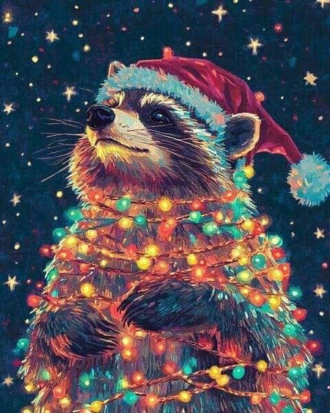 Участник ZORRO1M ,мужчина ,24,  | НашЧат.РФ