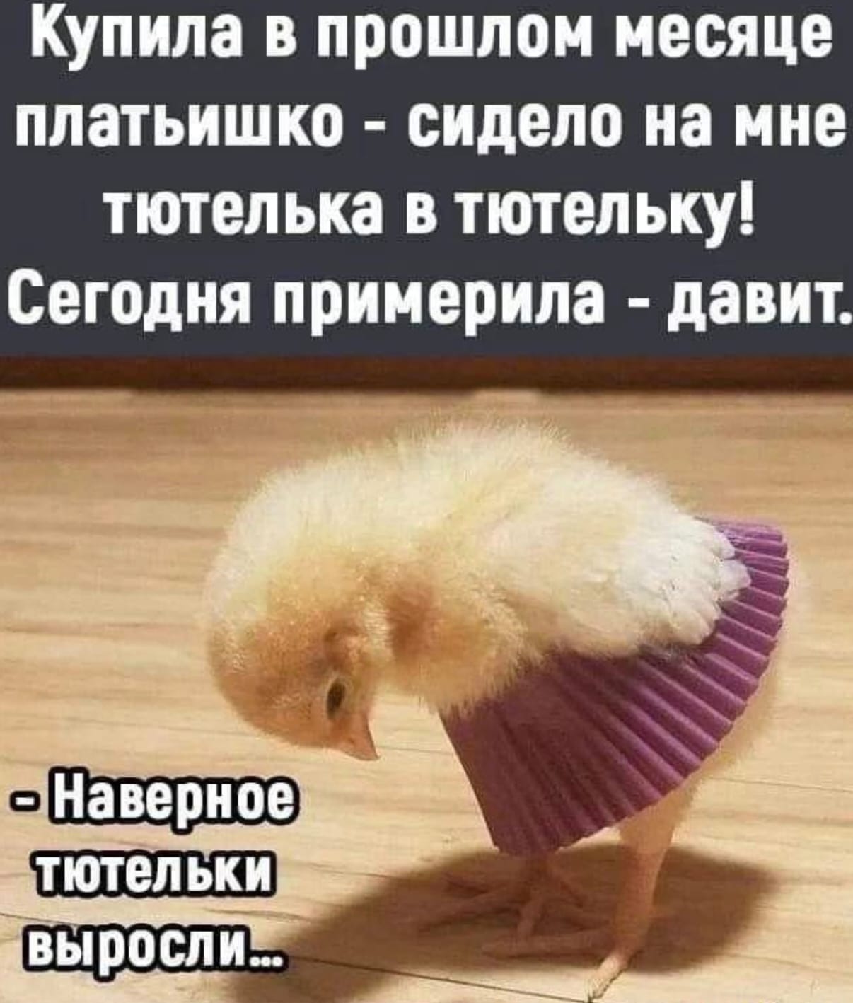 Участник LADYMARY ,женщина  StPetersburg | НашЧат.РФ