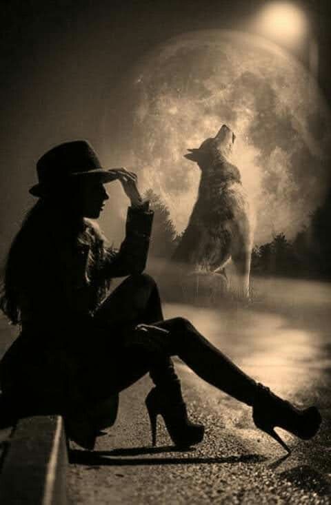 Участник SEA84 ,женщина ,41, Samara | НашЧат.РФ