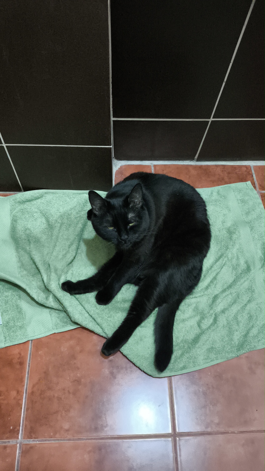 Участник ARTCHAOS ,мужчина  Moscow | НашЧат.РФ