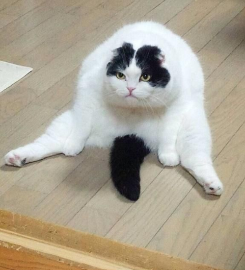 Участник SPACE(5) ,мужчина  Moscow | НашЧат.РФ