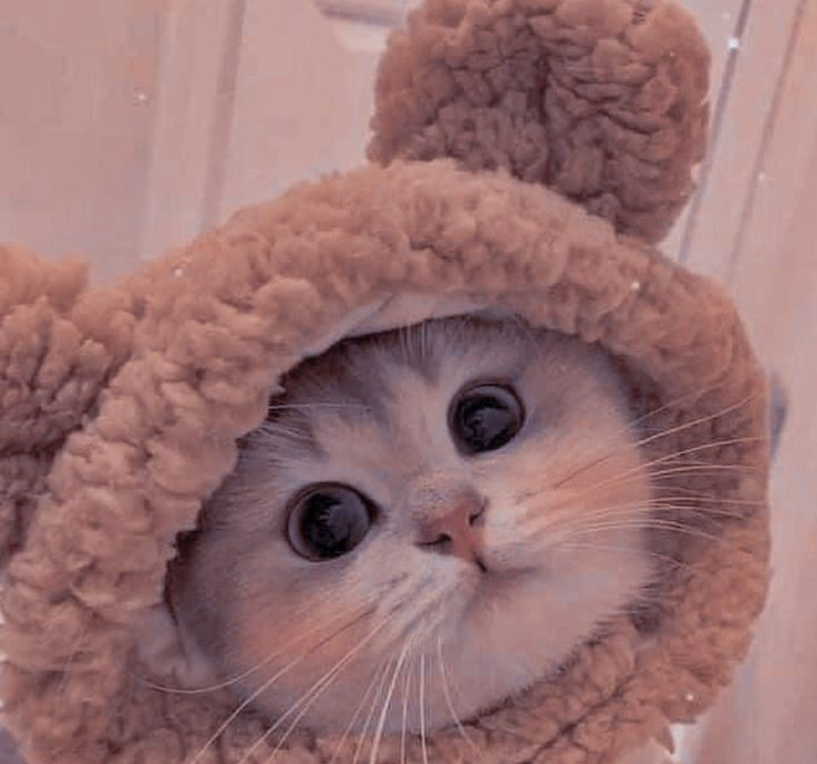 Участник KISYLIK92   Moscow | НашЧат.РФ