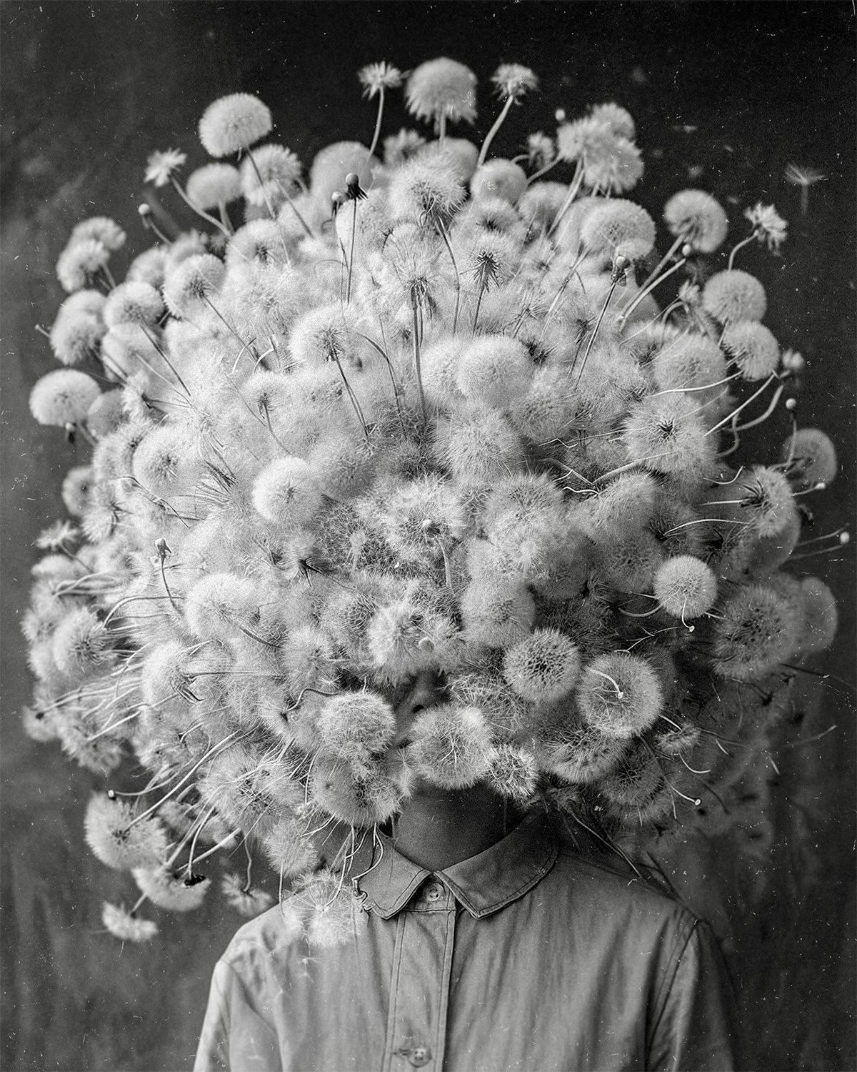 Участник DENTEDILEONE    | НашЧат.РФ