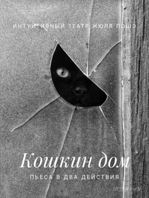 Участник STAS(1196) ,мужчина ,48, Haifa | НашЧат.РФ