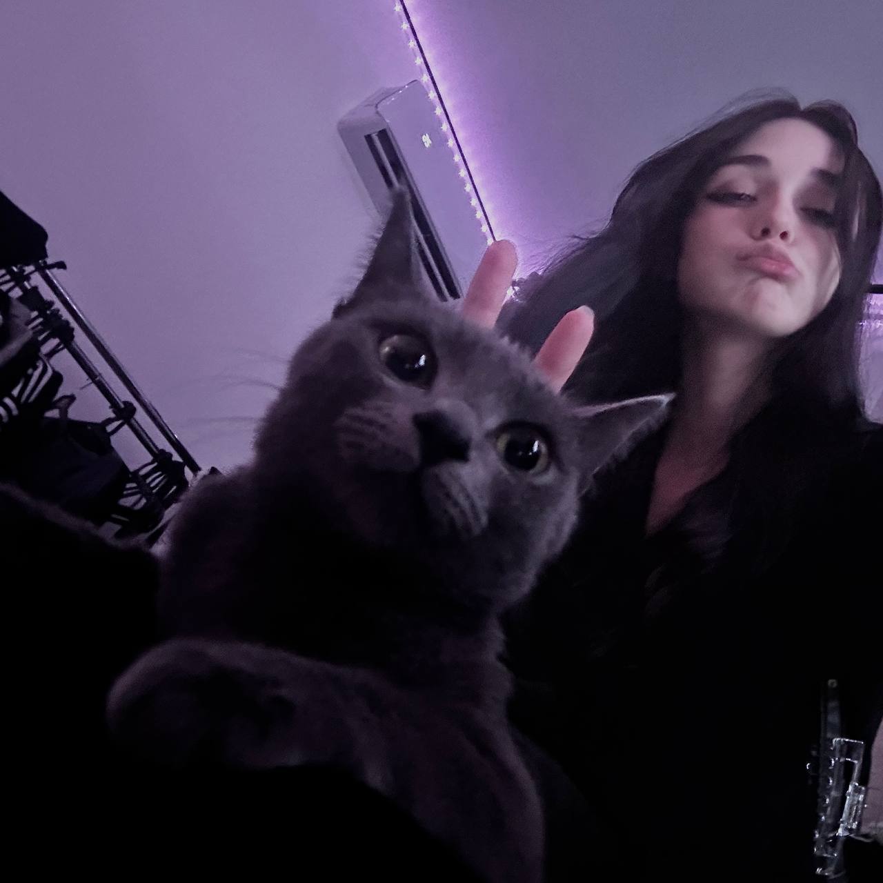 Участник DIANA123(3)   Rostov-on-Don | НашЧат.РФ