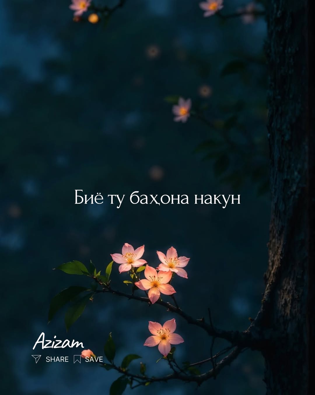 Участник OZZZ77777ZZZZ ,мужчина ,30, Tursunzoda | НашЧат.РФ