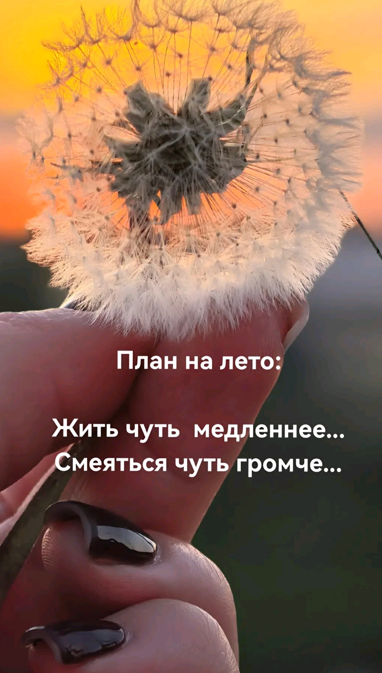 Участник NE0NA ,женщина  Sofia | НашЧат.РФ